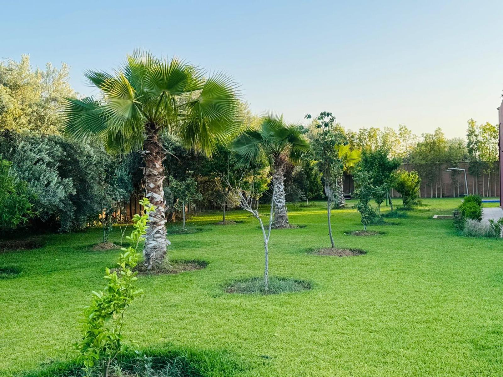 Villa Salah Marrakesh Esterno foto